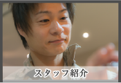 スタッフ紹介