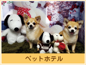 ペットホテル