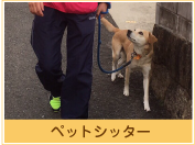 ペットシッター